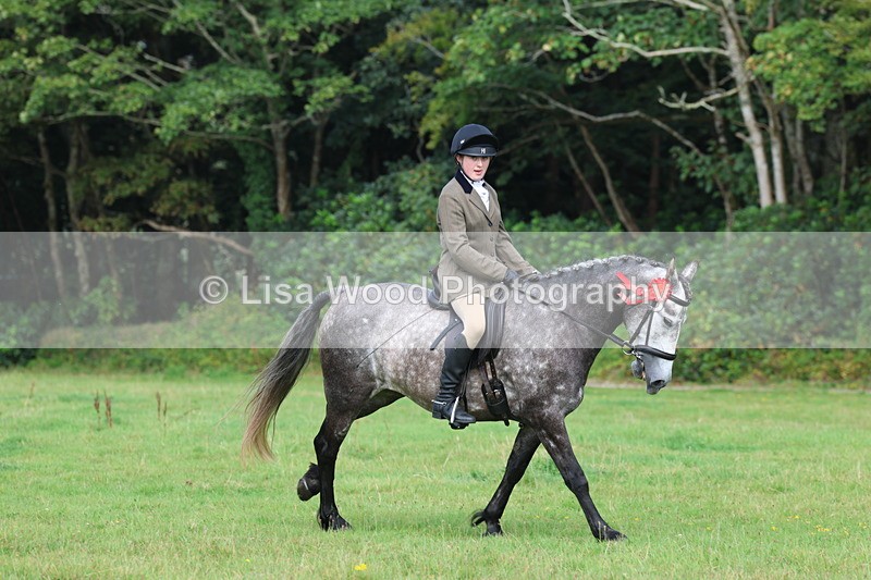 3E7A6080 - Working Hunter Championship