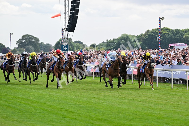 250726-Race 2-Stratusnine-6876 - Race 2 14.00pm Sky Bet Dash