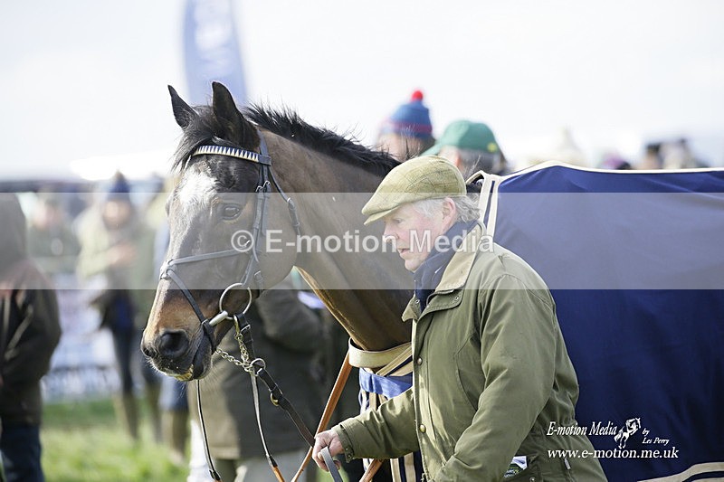 PtP 060322 464 - Blackmore & Sparkford Vale Hunt PtP 06/03/22