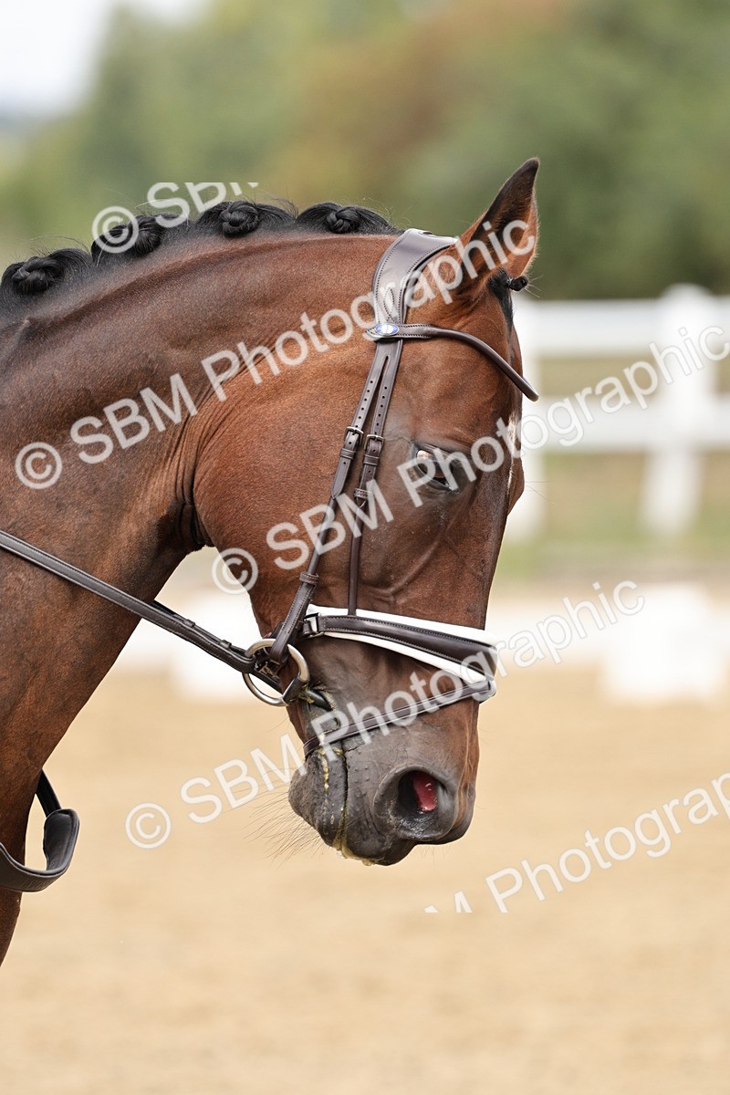 SBM_018310 - Class 16 - Novice 5 - 11.12-12.01