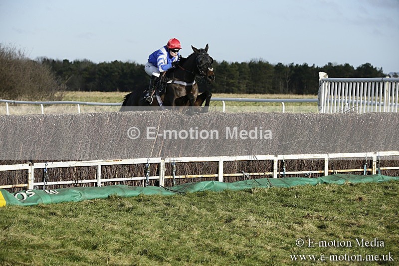 PtP 070118 -74 - Larkhill Racing Club Point to Point Larkhill 07/01/2018