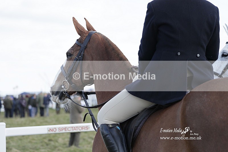 PtP 260223 773 - South & West Wilts Point-to-Point Larkhill 26/02/23