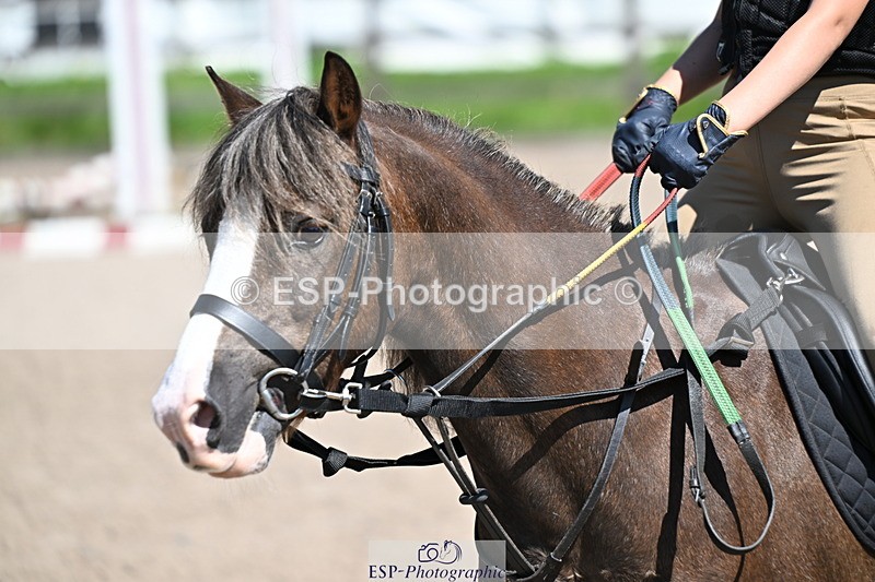 240729B-113628-02450 - Showjumping Competition