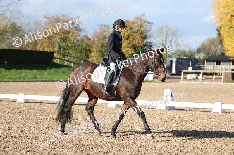 20251101-0555 - Class 4 - Novice 2