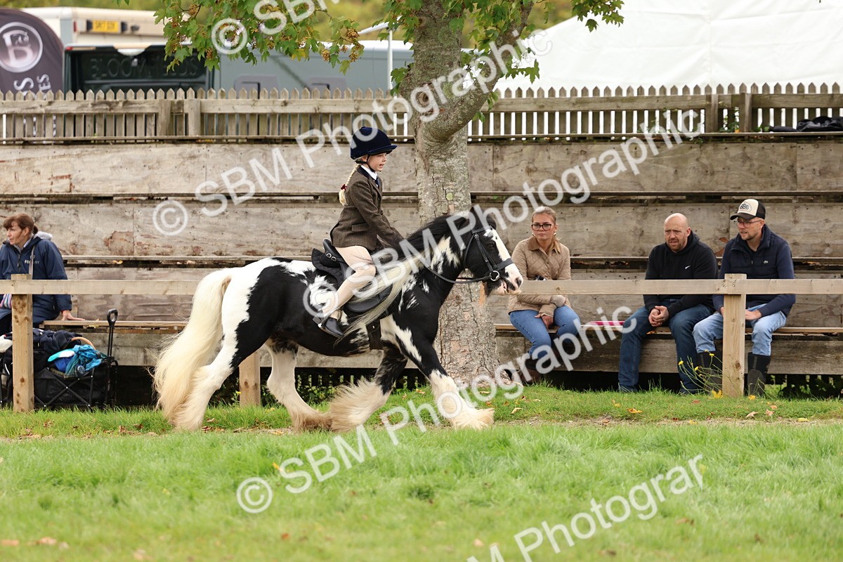 SBM_64533 - S58 - Coloured Pony Ridden