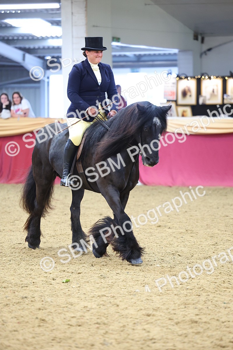 SBM_23722 - Class 904 - Supreme Final Ridden Diamond