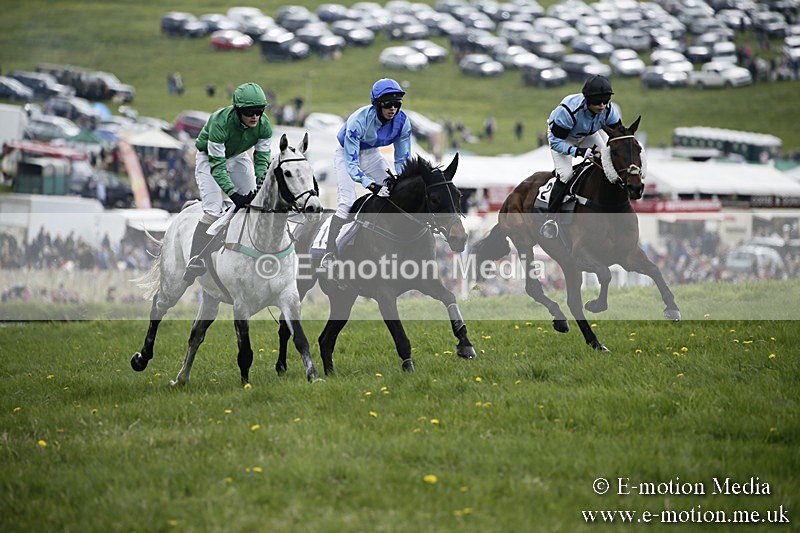 PtP 170417 91 - Old Berks Point-to-Point Lockinge 17/04/17