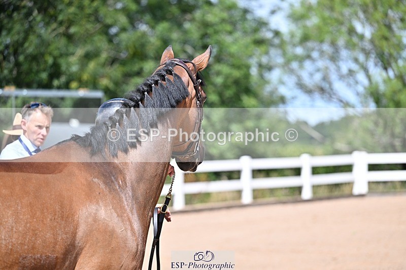 250716-122714-00002 - Trot Up 12.30 to 1.30