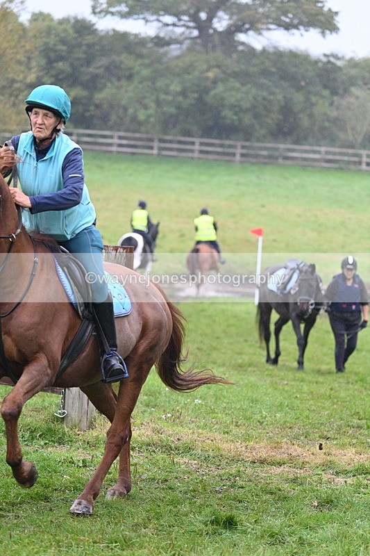 WJ7_2952 - Time at Photographer 14:52 to 15:19