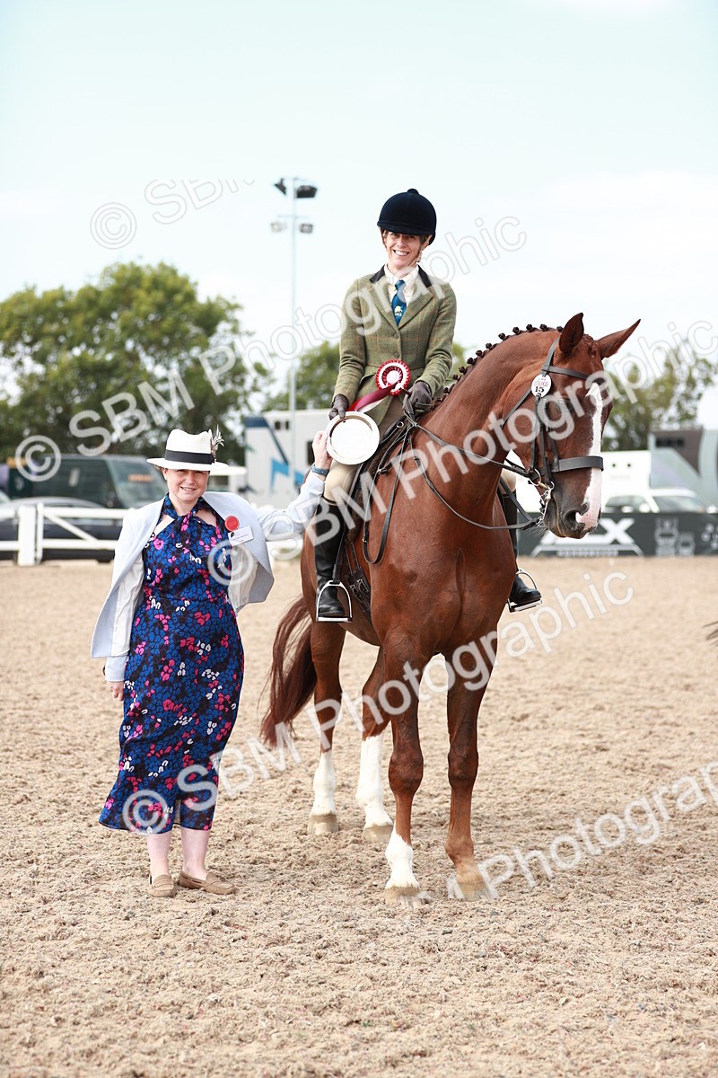 SBM_15547 - Class 213 Ridden Hunter -Large