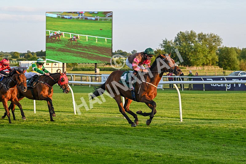 100625-Race 8-Coconut Bay-7839 - Race 8