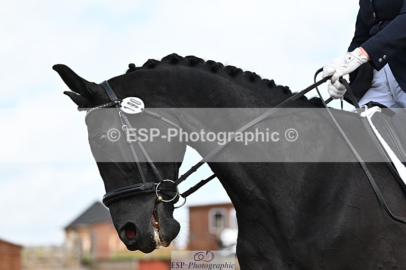 240621A-145409-04374 - Cls 8 BD Elementary 53