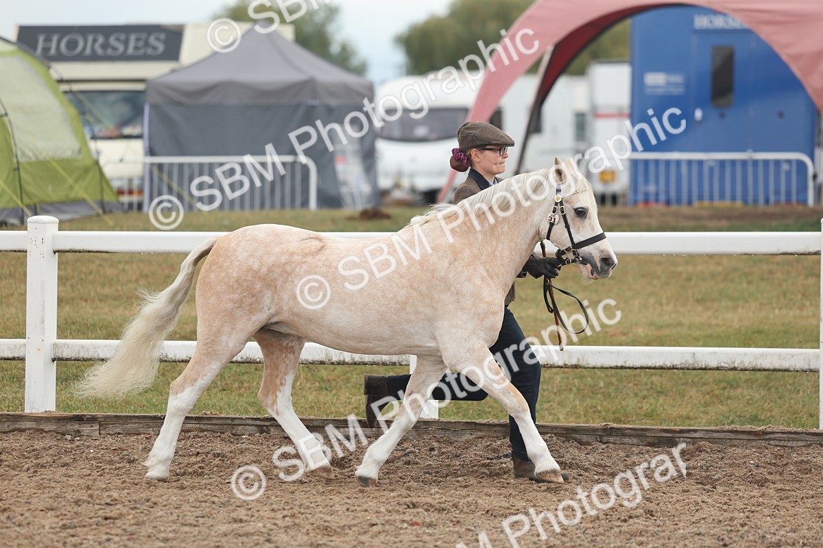 SBM_08452 - Class 29 - IH Veteran Pony