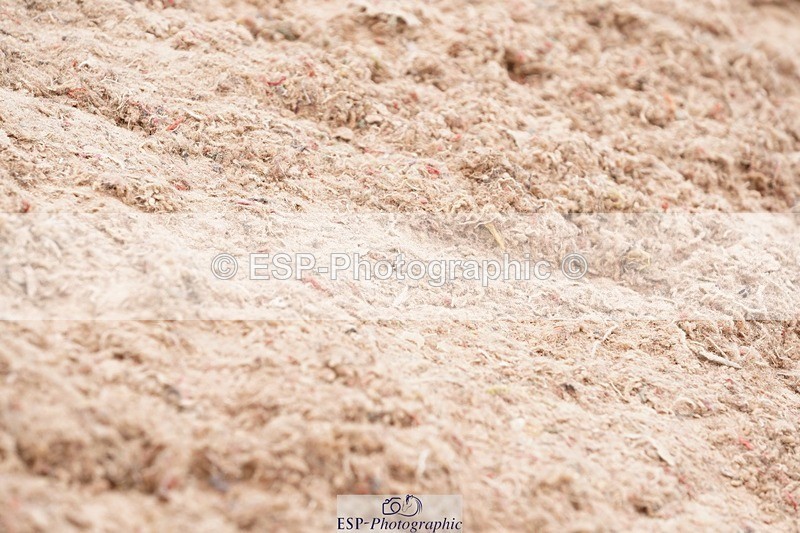 250505-154822-05112 - Cls 10+11 Children on Horses