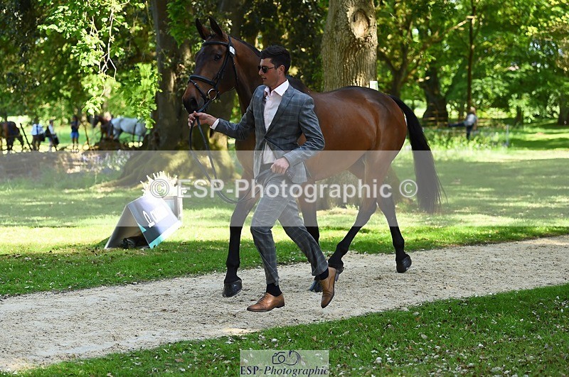 230524-154208-00442 - 374-ISLANDWOOD_THE_RISING-Sebastian_Roldan_Olivera-WEDTrotUp+DR