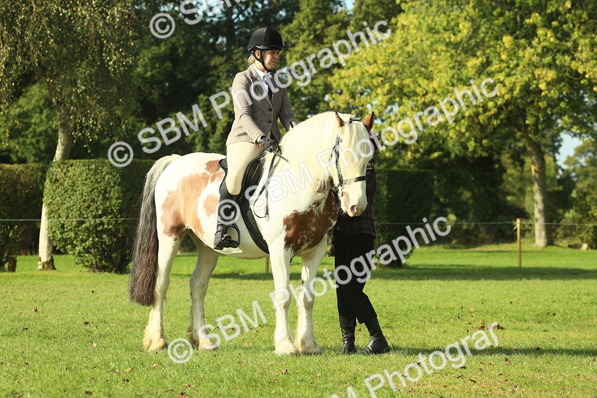 SBM_59899 - S38 - Starters Ridden Showing