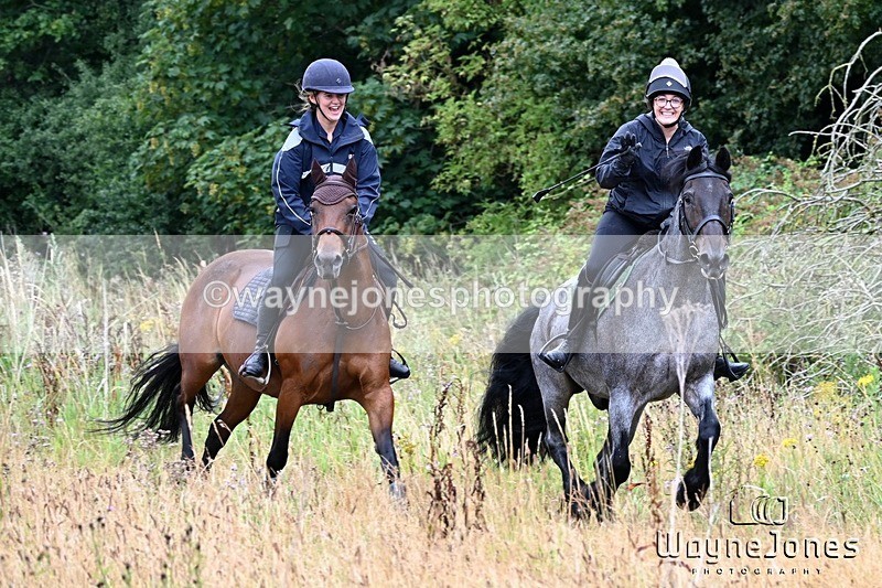 WJ6_1805-001 - Edited examples