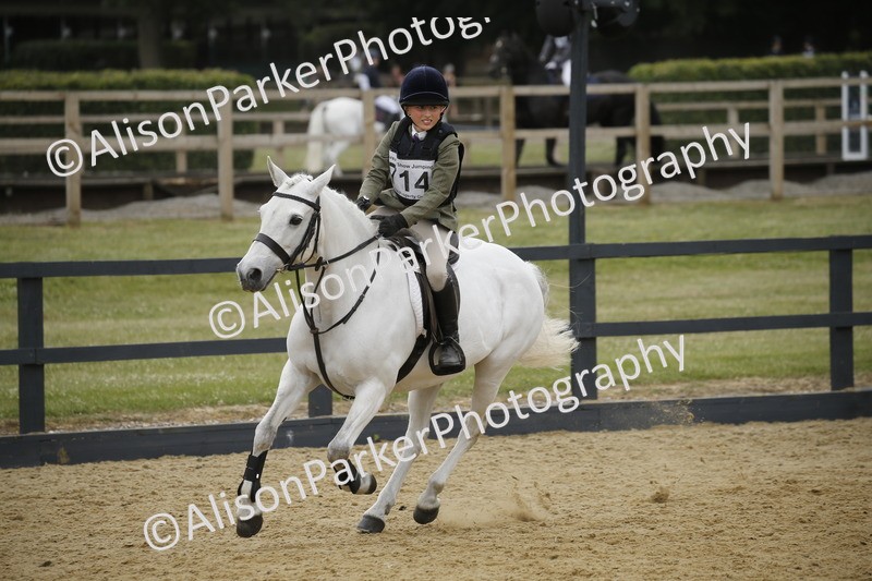 20250622-5893 - 60cm