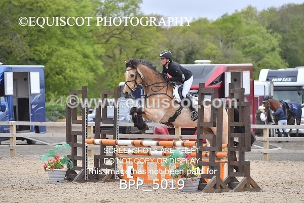 BPP_5019 - CLASS 24 SUN Senior BritiNovice/ 90cm Open