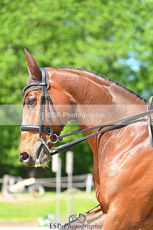 230526-113825-05808 - 469-WELLFIELDS_LINCOLN-Susie_Berry-DR