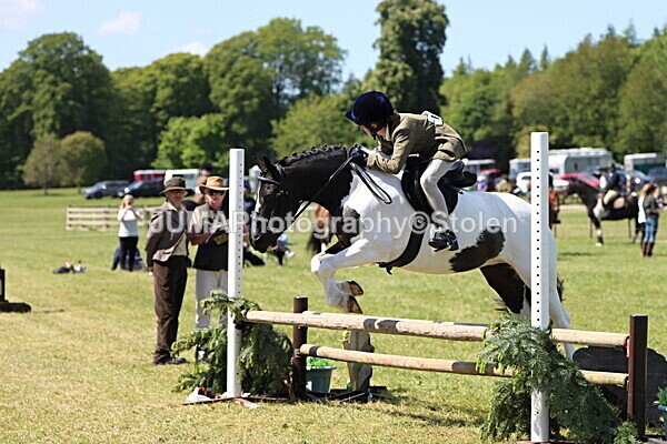 IMG_3817 - Working Hunter