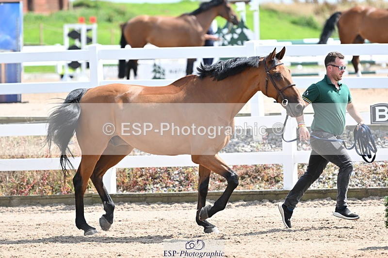 240717A-150049-02437 - Trot Up 3pm to 4pm