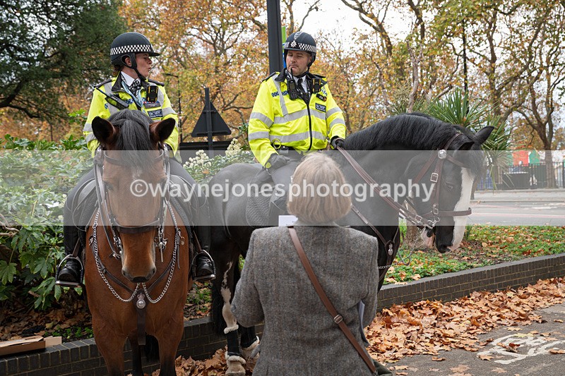 Z62_4535 - Animals In War Memorial 2025 - Park Lane, London