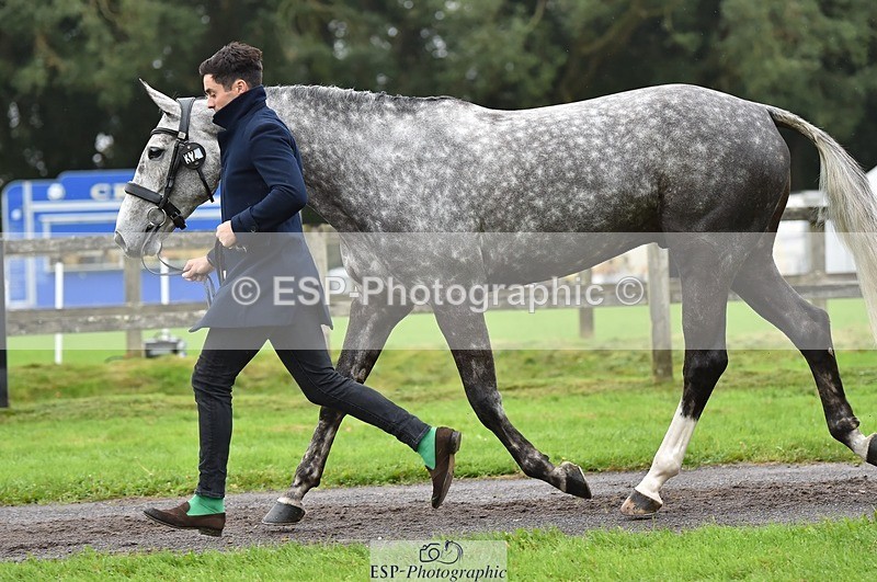 231018-122326-00257 - 032-COOLEY.ROCCO-Ben.Way-TrotUp