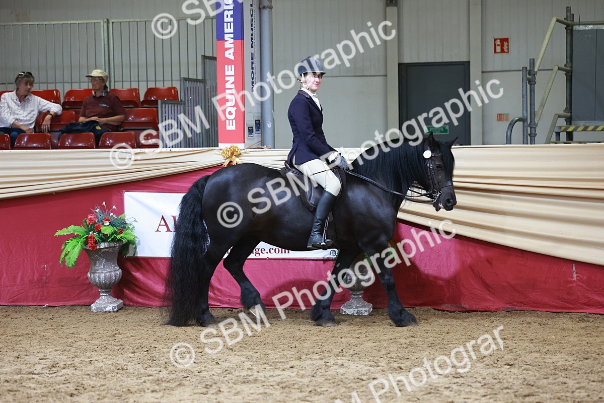 SBM_18688 - Class 952 - M&M Ridden Supreme Final