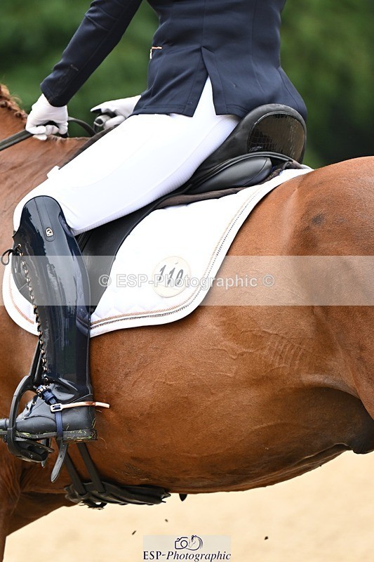 240811-101653-04979 - 110-Helen.Kitto-Da.Vinci.IV