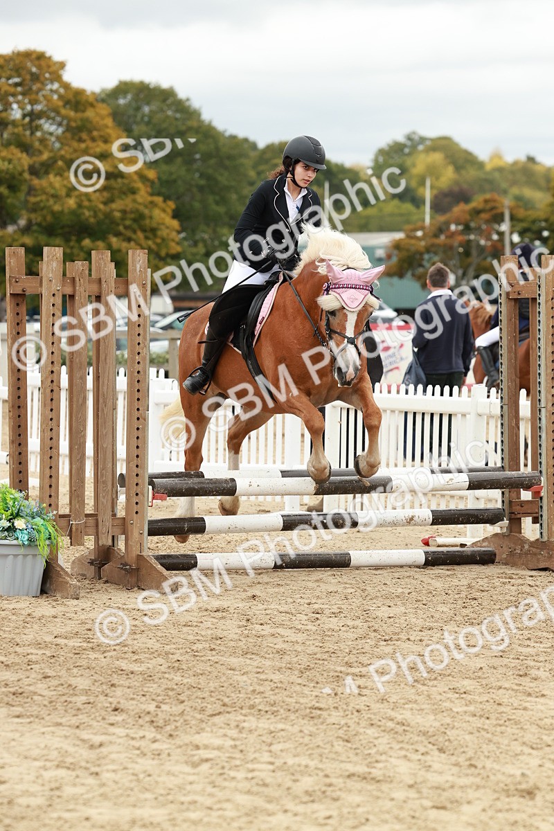 SBM_67106 - J13 - Junior Pony 60cm Championship
