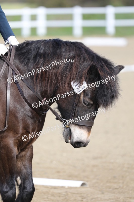 20260314-0208 - DR1 - Intro 1