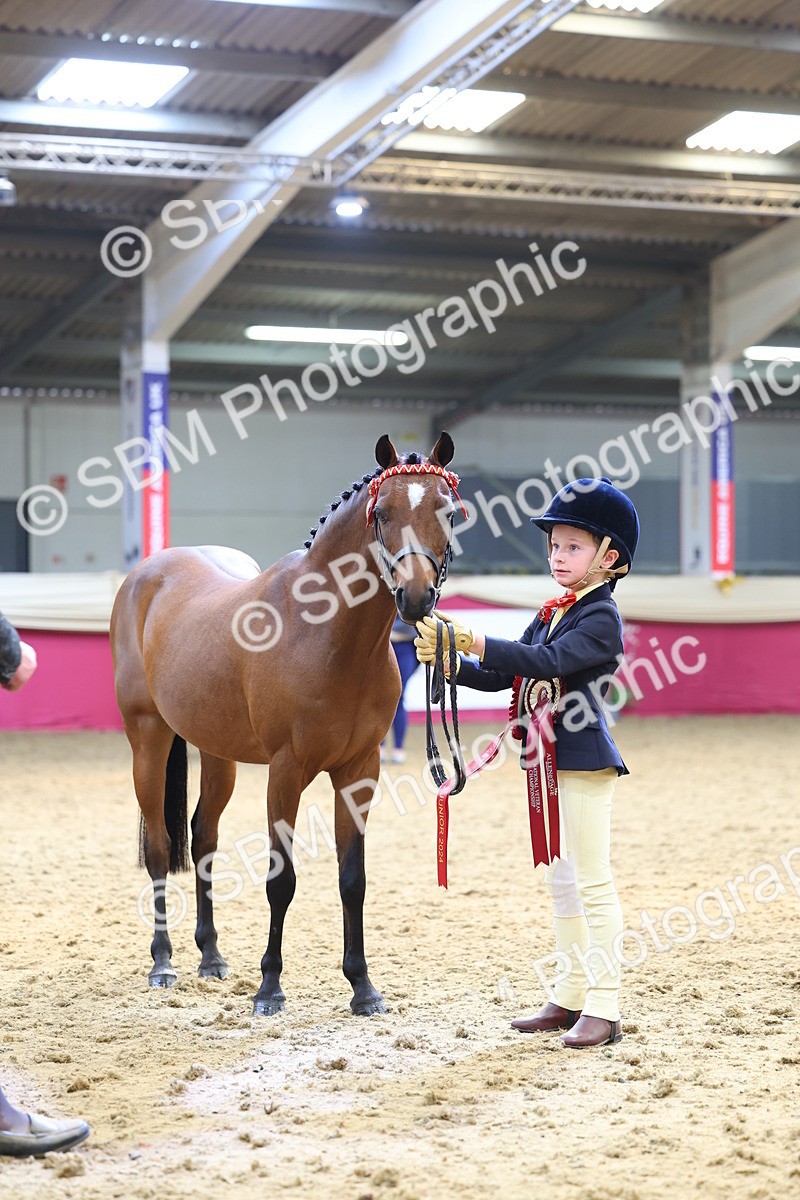 SBM_23010 - Class 903 - Supreme Final - IH Pre Vet