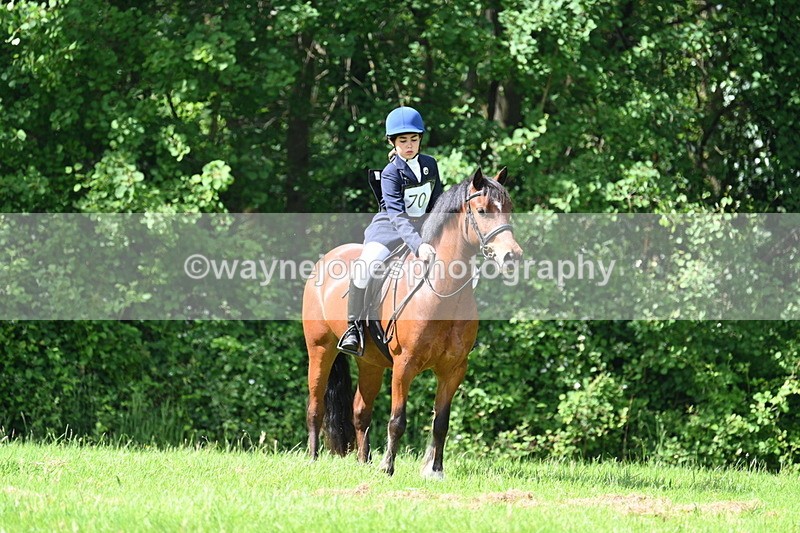 WJ7_1050 - Class 11 Condition & Turnout