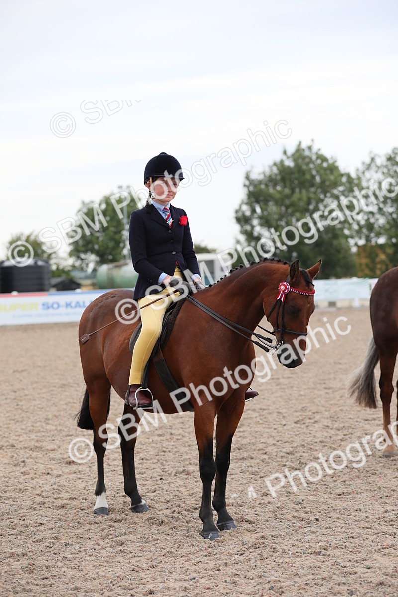 SBM_18180 - Class 316 Best Pony/Rider Combination