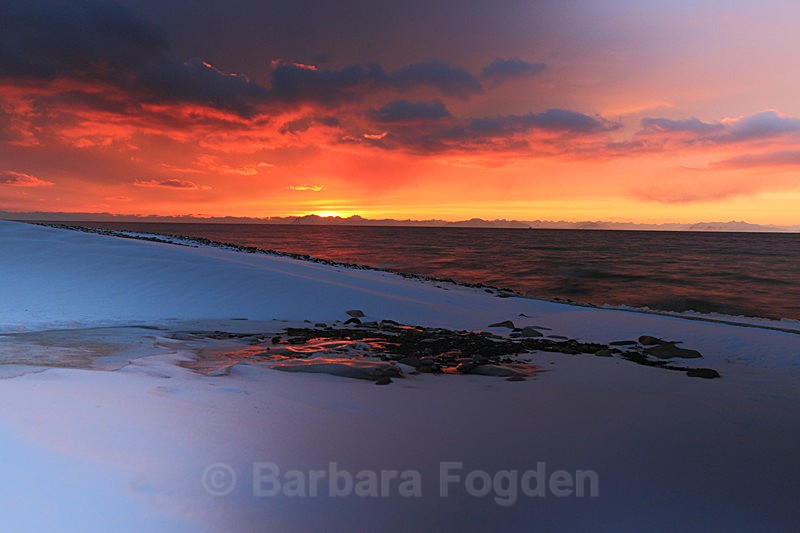 Sunset 7 - Latest Photos