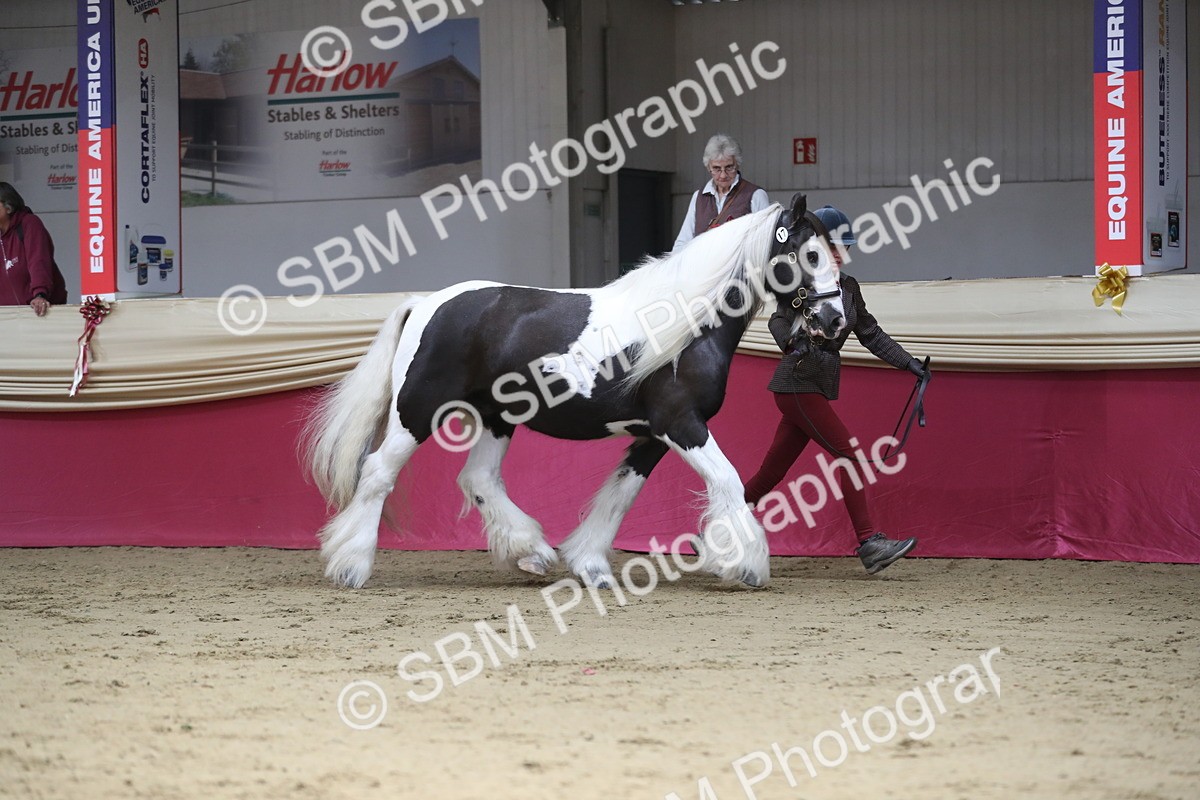SBM_01315 - Class 3a Area IH Pre Vet