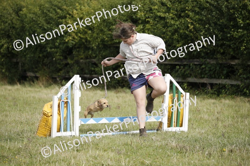 20250831-3880 - Dog Show