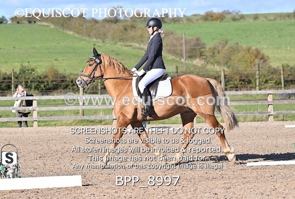 BPP_8997 - SHORT ARENA INTRO 3