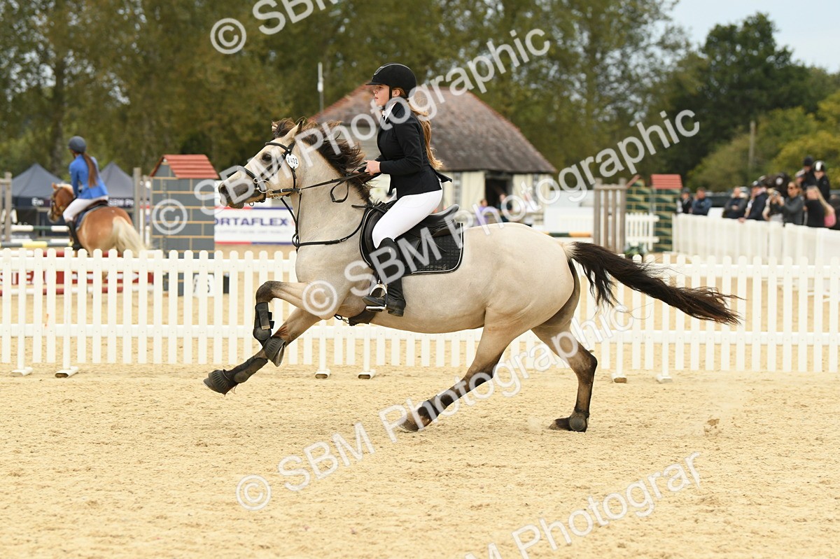 SBM_73066 - J16 - Junior Pony 75cm Championship