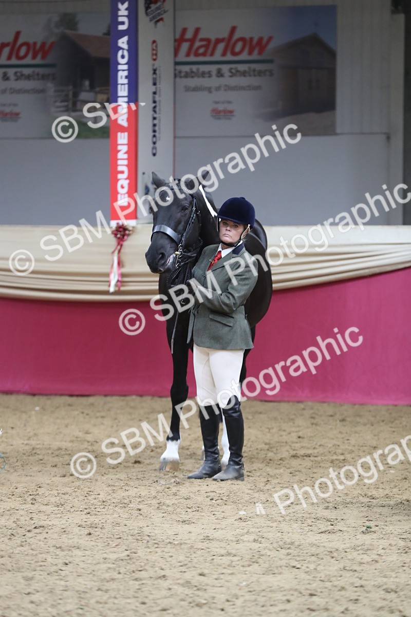 SBM_06440 - Class 9R Regional- IH Pre Vet