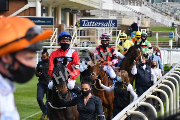 yr12052021r7-13 - Race 7 4.50 pm Conundrum HR Consulting Stakes