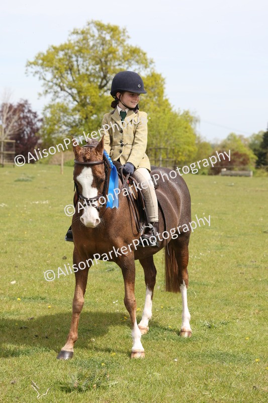 20260426-4009 - Class 33 - Best Pony 14.2hh and Under
