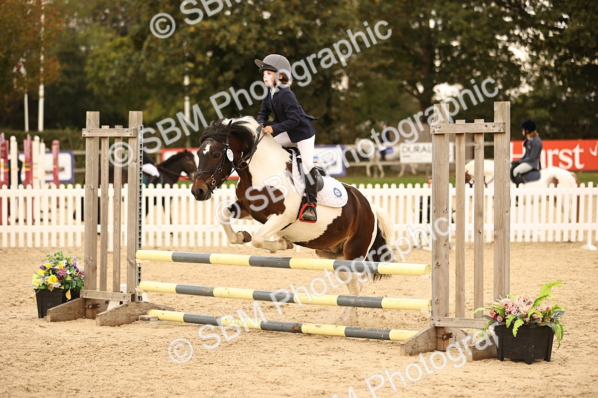 SBM_74250 - J14 - Junior Pony 65cm Championship