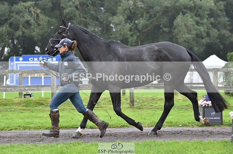 231018-122742-00308 - 037-MISTER.KAI-Hani.Milstein-TrotUp