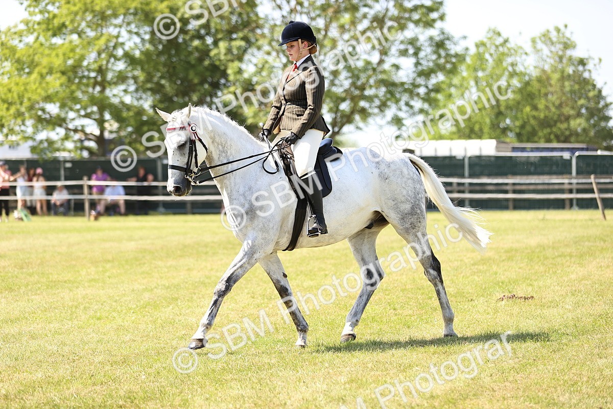 SBM_18006 - Class 81-83 - TSR Ridden Amateur of the Year - Horses
