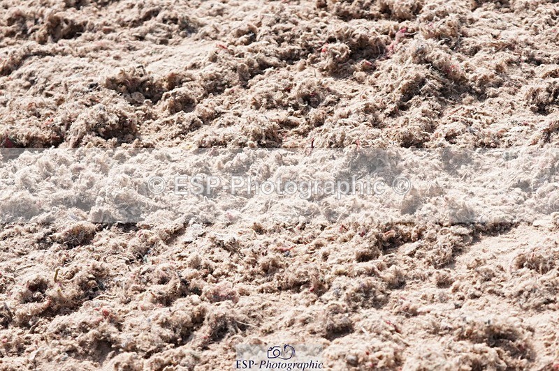 250523-163340-02848 - Cls 07 1.00m Speed Derby