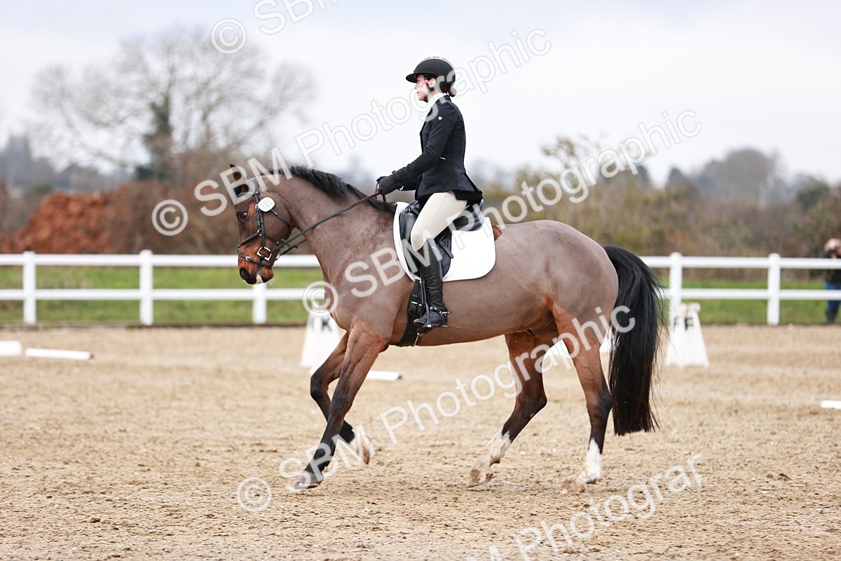 SBM_005258 - Elementary 1