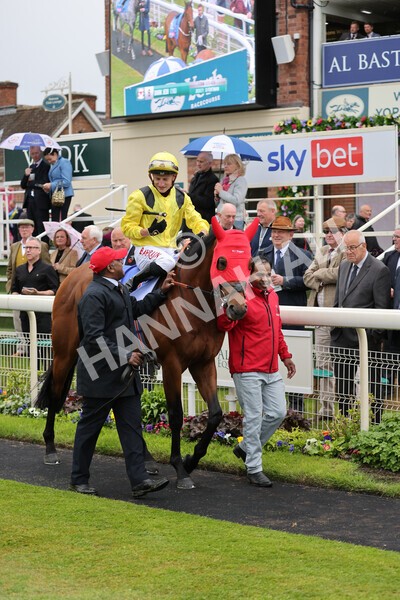 yr11052022r1-7 - Race 1 1.50pm Sky Bet Race to the Ebor Jorvik Stakes