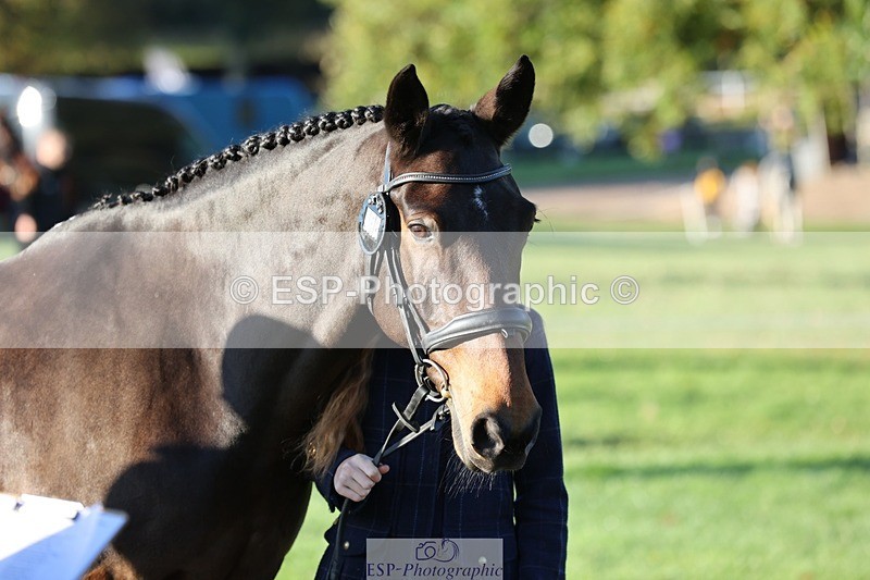 241027-084655-14817 - 358-Jessica.Meyer-LACKAGHMORE.VANDANGO